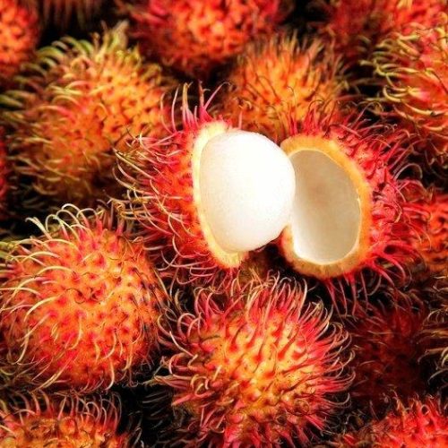 - Rambutan -