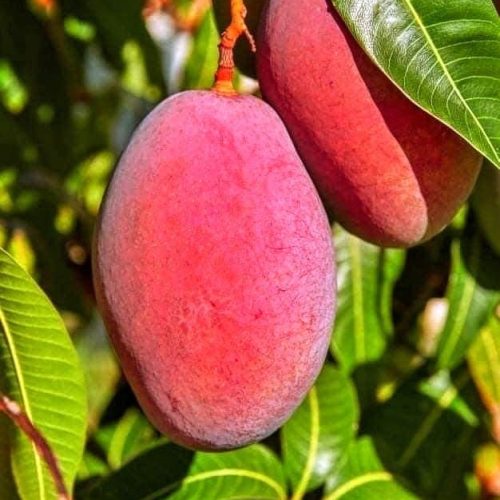 d1cf71b8-87d4-4f32-9f9b-400f7fdbdfe6