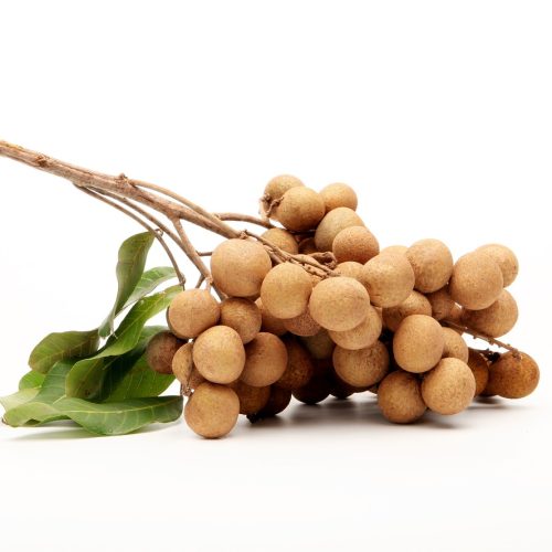 longan-1290167_1280